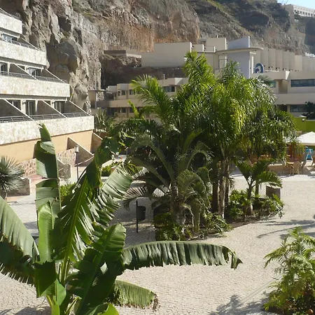 Daire Terraza De Amadores